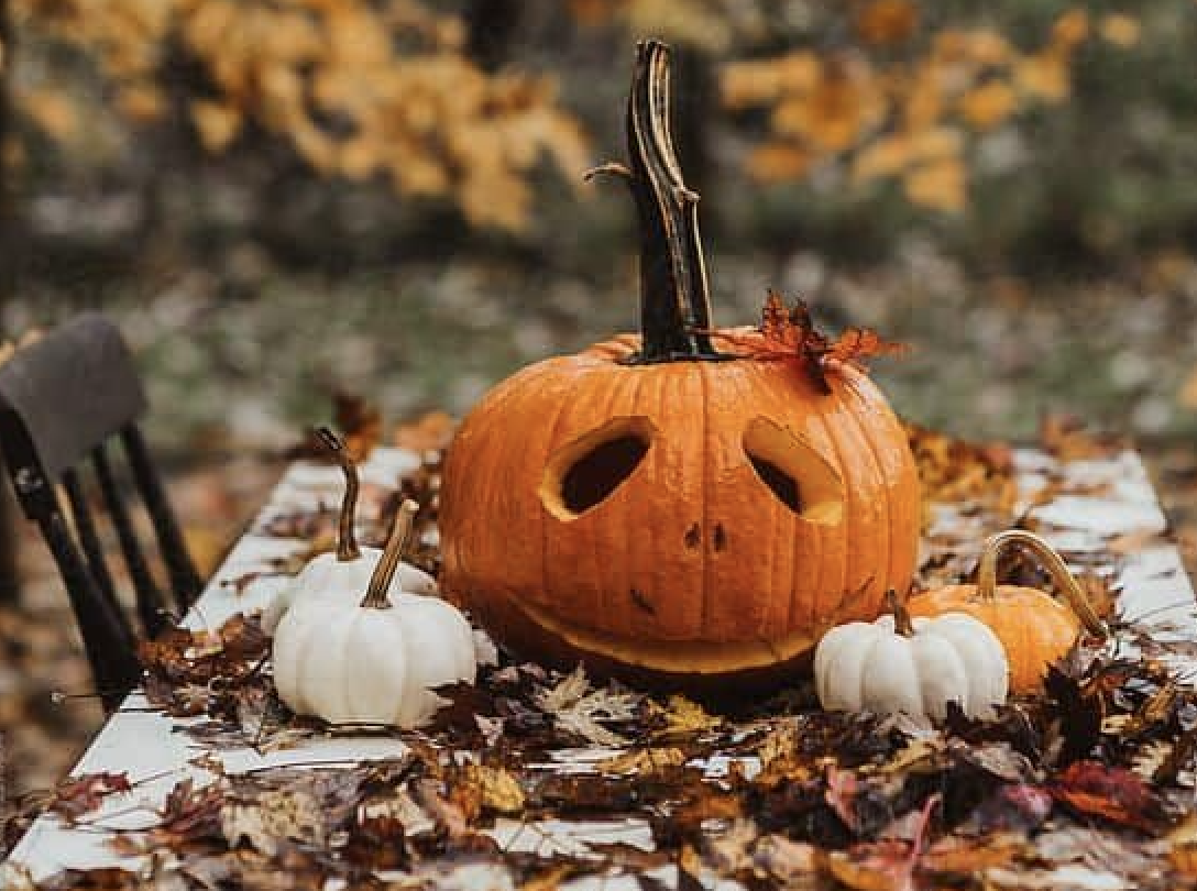 фото заходу Святкування Хеловіну 🎃